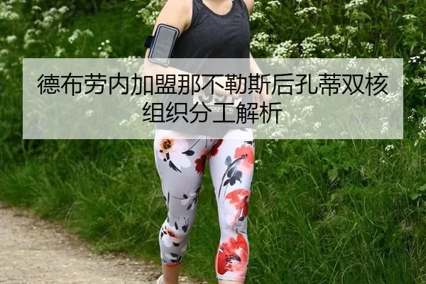 德布劳内加盟那不勒斯后孔蒂双核组织分工解析
